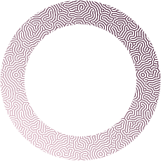 https://www.arhiva.zazeli-ervenik.eu/wp-content/uploads/2021/06/img-floater-13.png