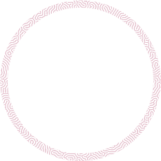 https://www.arhiva.zazeli-ervenik.eu/wp-content/uploads/2021/06/img-floater-15.png